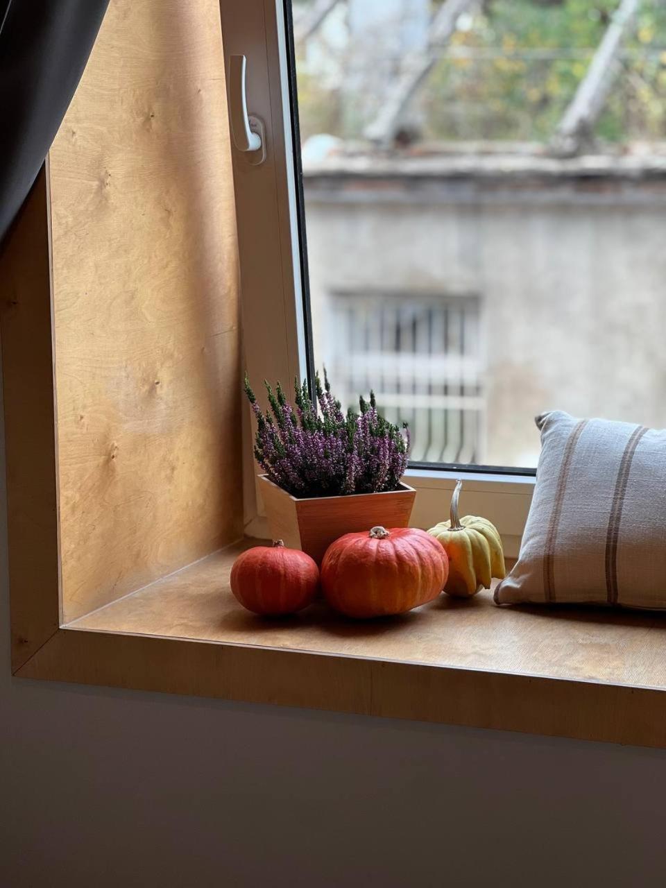 Modern On Lemkivska Apartment Lviv